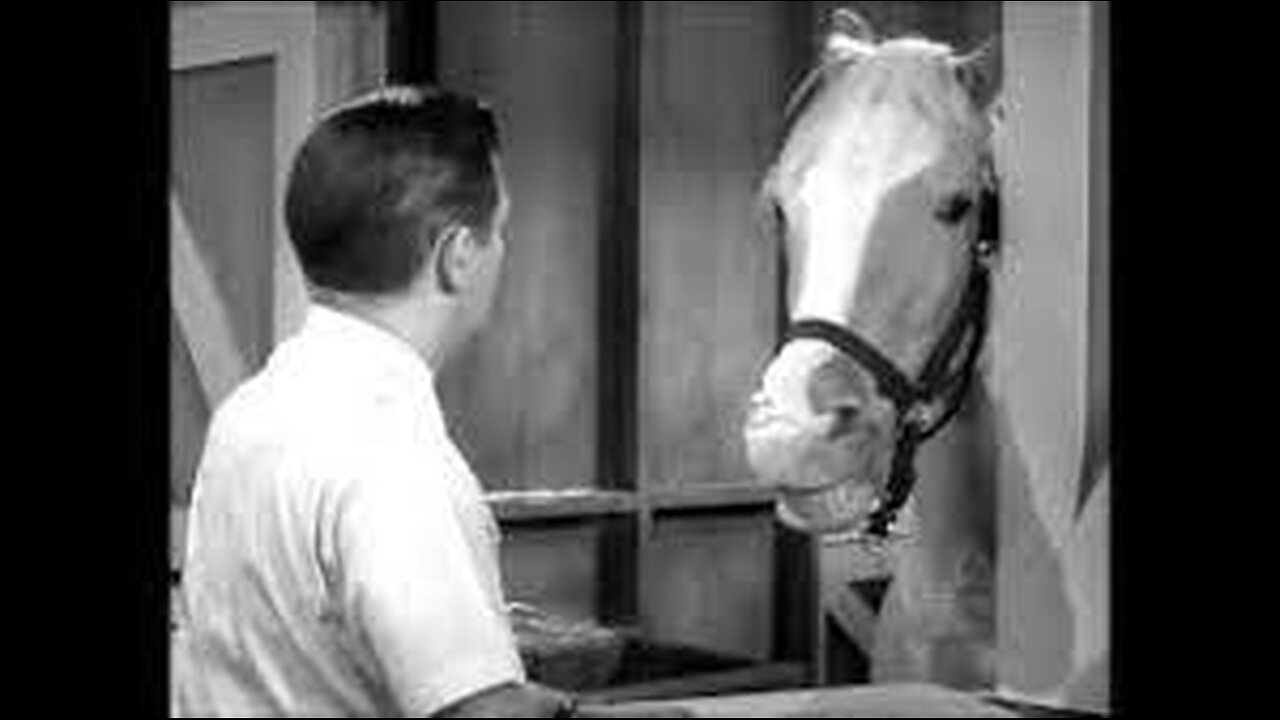 Mister Ed S01E01 The First Meeting