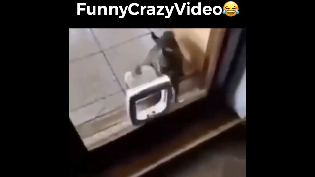 Mr FunnyCrazyVideo😂 Just Incredible Video Funny and Crazy #Like Follow for Follow 🥰