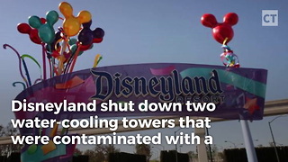 Outbreak at Disneyland