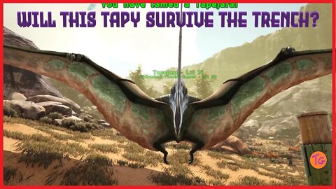 The Dodo Wyvern - Ark Survival Evolved - Scorched Earth