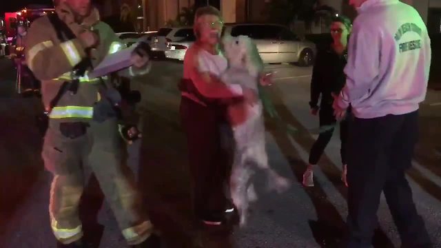 Elated family dog saved from fire in suburban Delray Beach, reunited with family