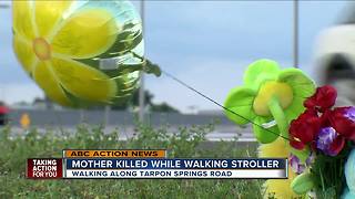 Mother killed while walking along Tarpon Springs Road