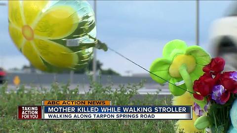 Mother killed while walking along Tarpon Springs Road