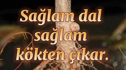 #menkıbe EN GÜZEL MENKIBELERDEN BİR BÖLÜM / "Sağlam dal sağlam kökten çıkar."