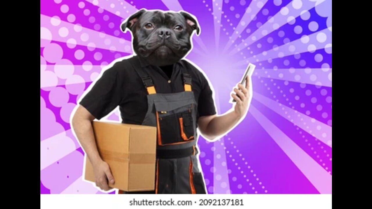 See how dogs pickup the parcel | Dogs Motivation video| Dogs Video