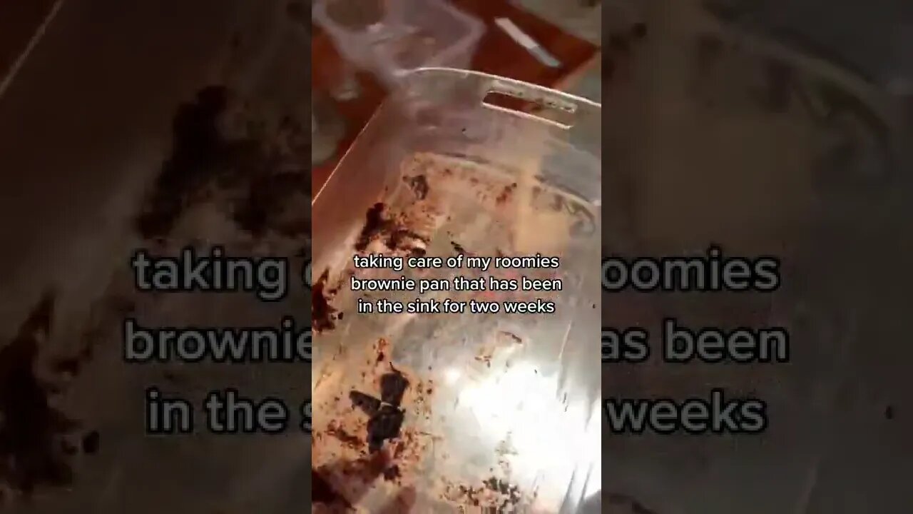 Taking care of my roomies! Video By soggyknees69 #Shorts