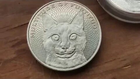 The End Of The Furtitude As YOU Know IT!