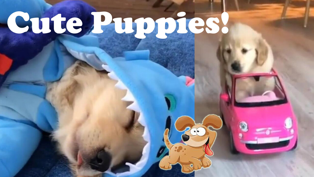 Cute puppies on tiktok compilation #1