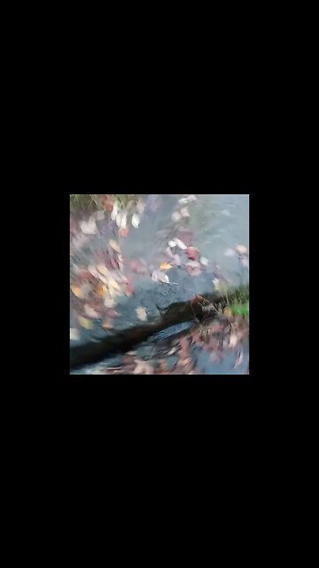 where all the wests water is going???