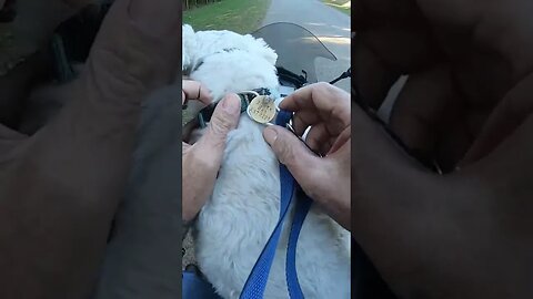 pitstop in the forest