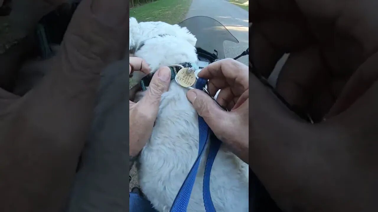 pitstop in the forest