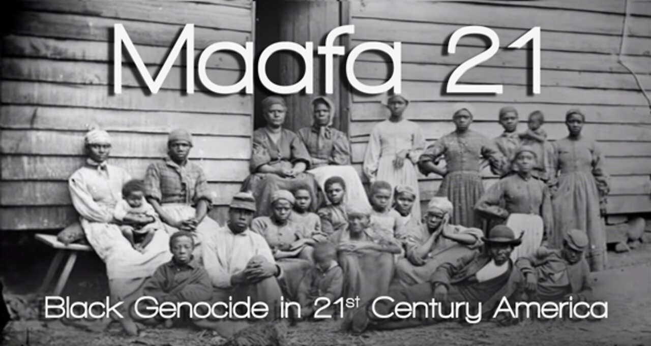 Maafa 21: Black Genocide in 21st Century America