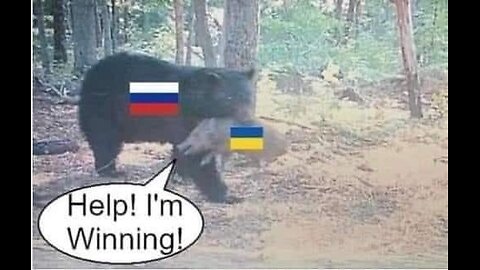 Dave Talks Stuff - Ukraine War Update. December 30, 2023