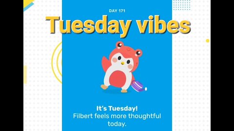 Mypetfinchapp: Tuesday vibes