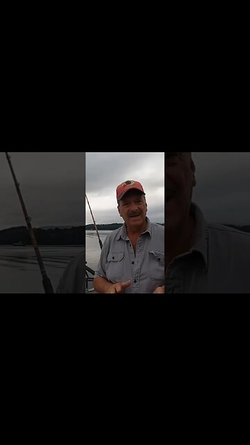 Catfishing tip for planer boards