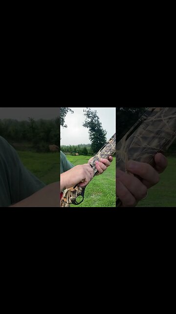 Stoeger m3000 3” 26” #shorts #short #shotgun