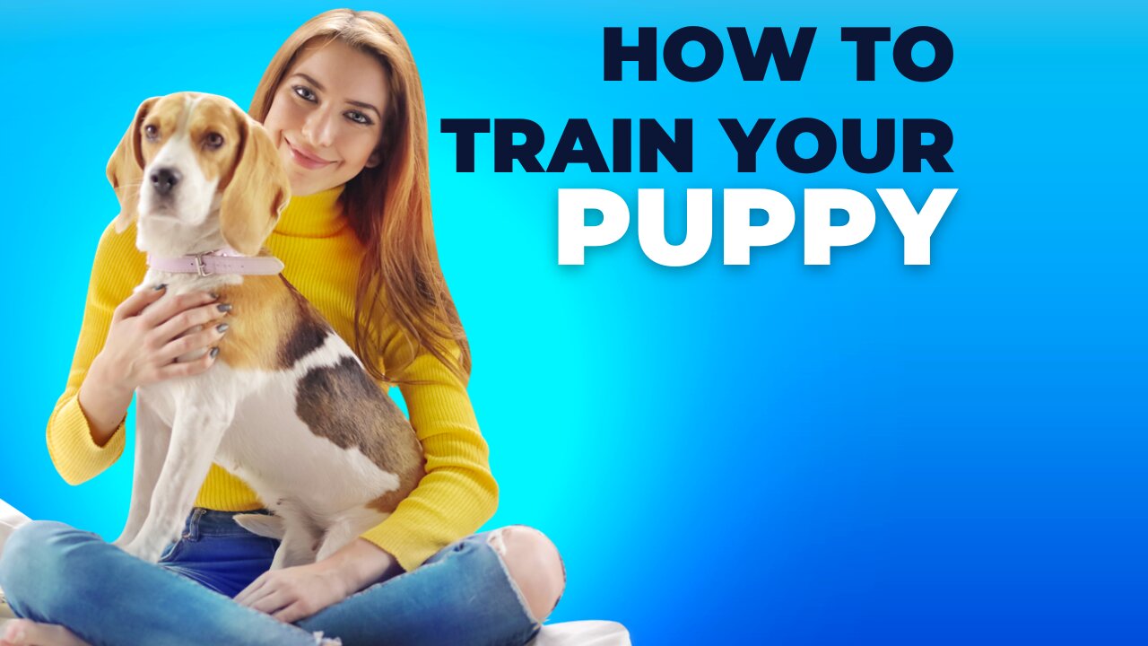 How To Train Your Puppy