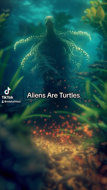 Aliens Are Turtles