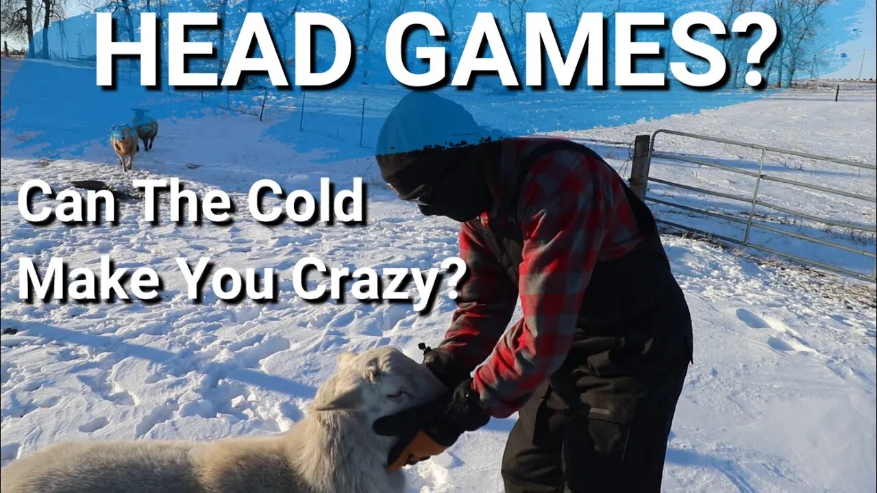 It's Very Cold On The Farm Today | Getting Chores Done But I Think He Went Crazy