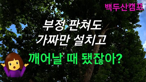 부정 판쳐도 속임수뿐!