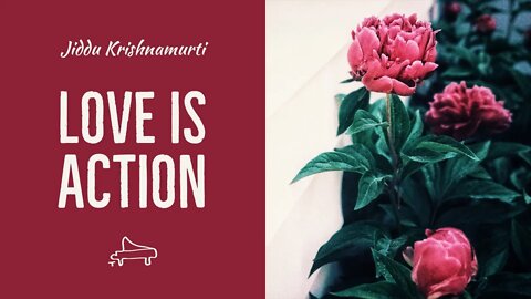 J Krishnamurti | Love is action | immersive pointer | piano A-Loven