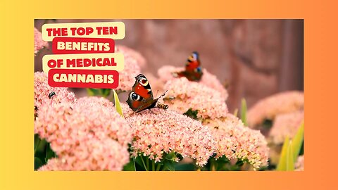 The Top Ten Benefits To Medical Cannabis