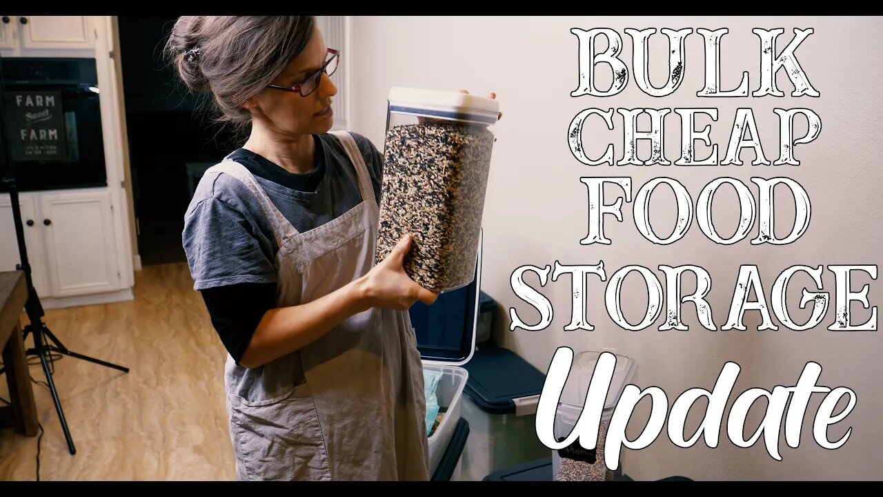 Cheap Bulk Food Storage Update/ Prepping Like Grandma | Ep 29