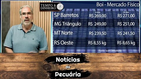 Boi sinaliza preço acima de R$ 300 para janeiro na B3. Físico pressionado