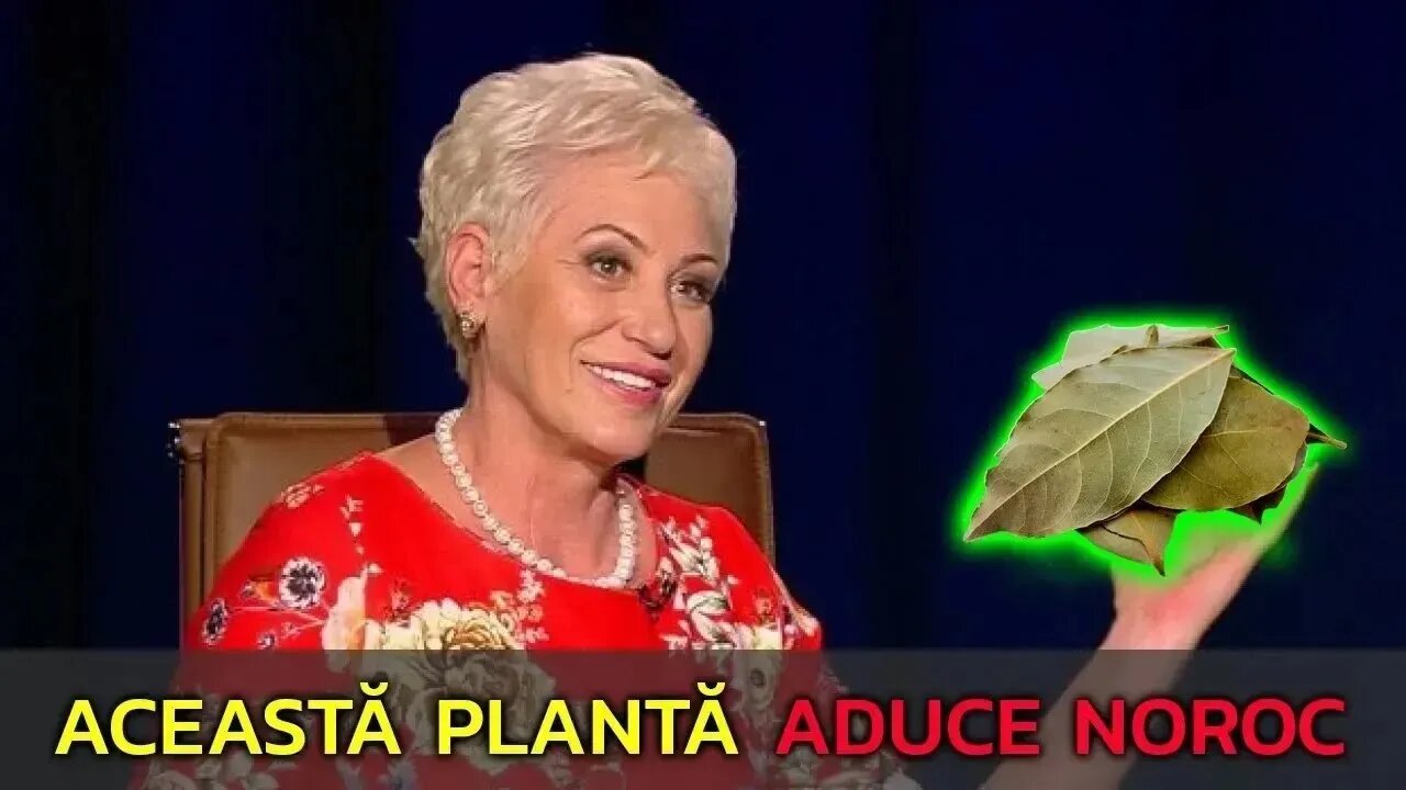 🔴 CE A URMAT I A LĂSAT PE TOȚI ÎNMĂRMURIȚI
