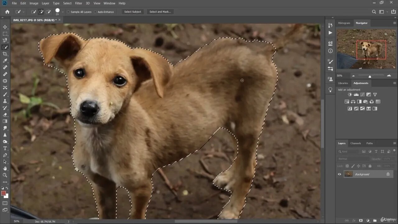 Photoshop Editing & Image Retouching : Part 1; Magnetic Lesso, Quick Selection & Refine Edge