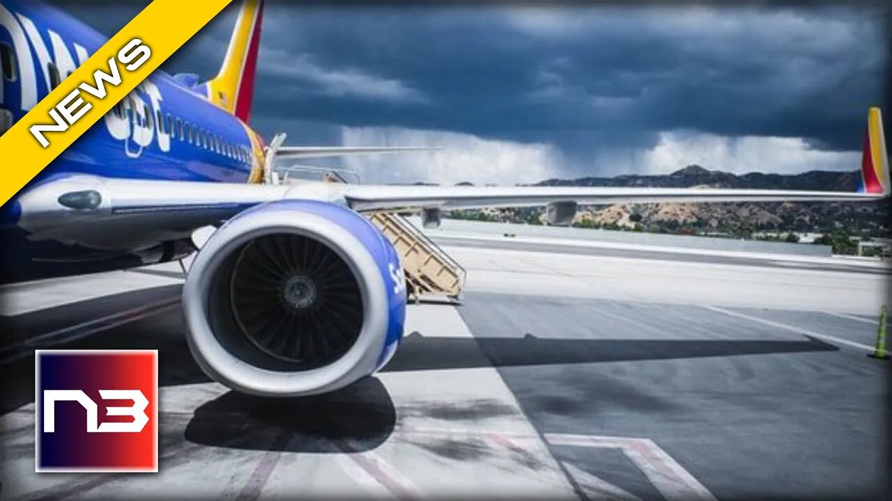 Southwest Airlines: The Damage Control Dog Mission Nobody Asked For