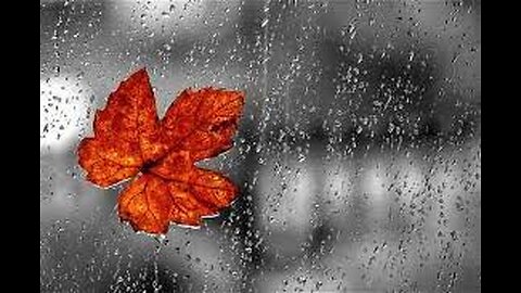 Rainy Karachi Beauty of the Monsoon Season #karachi #barish #shorts #clouds #treding #subscribe