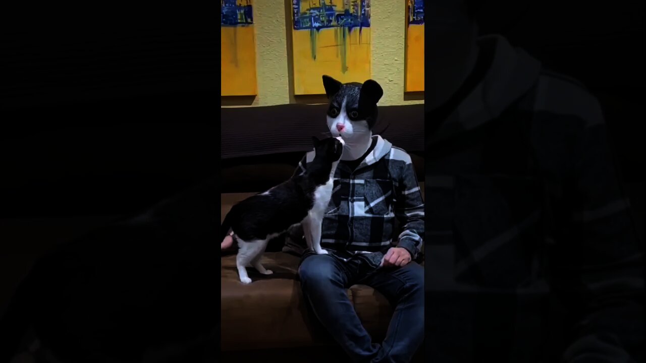 24 de novembro de 2021
