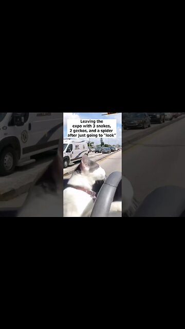 BIGGEST mistake as a reptile keeper