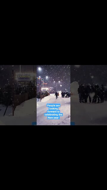 Siberian are enjoying the good weather and preparing for the New year