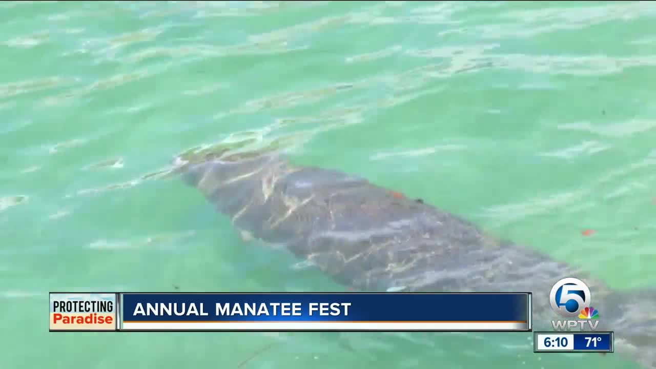 Annual Manatee Fest held in Riviera Beach