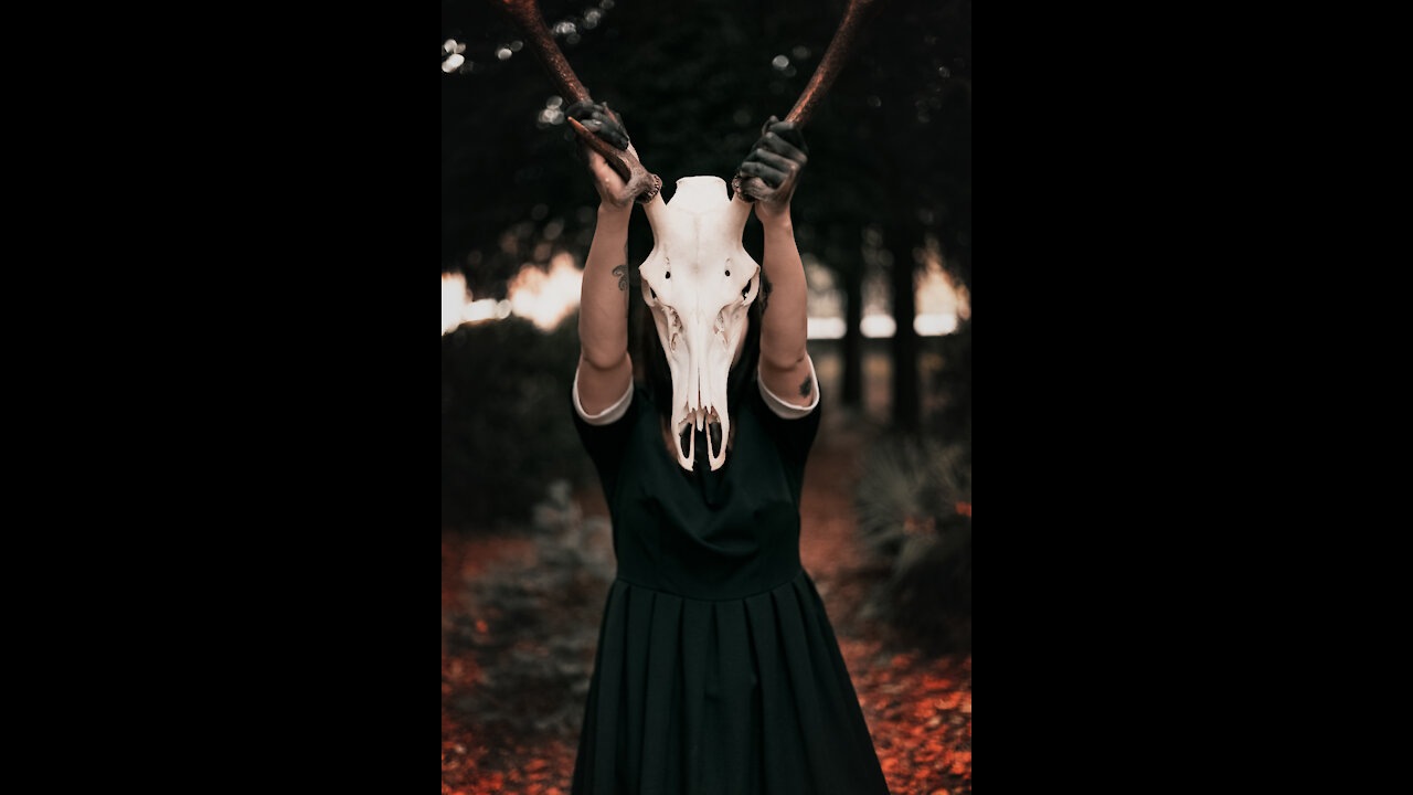 Antique Doll || horror story