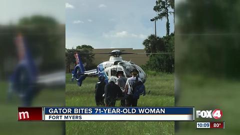 Gator Bites 71-Year-Old Woman