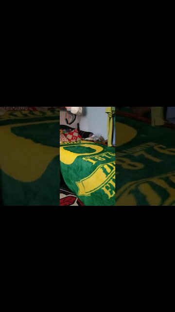 You MUST Be Born Again