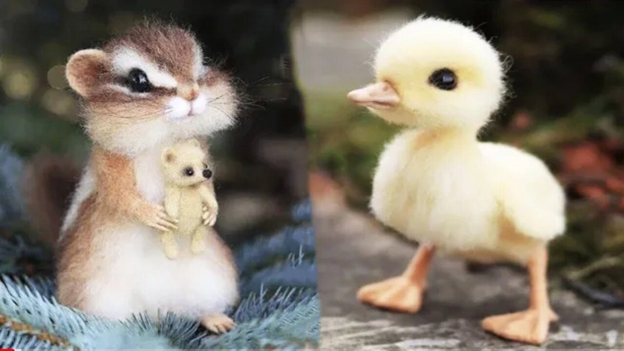 Cute Baby Animals Compilation || cute Moment of the Animals