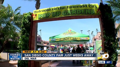 San Diego County Fair just two weeks away