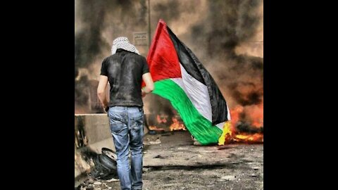 Palestine free