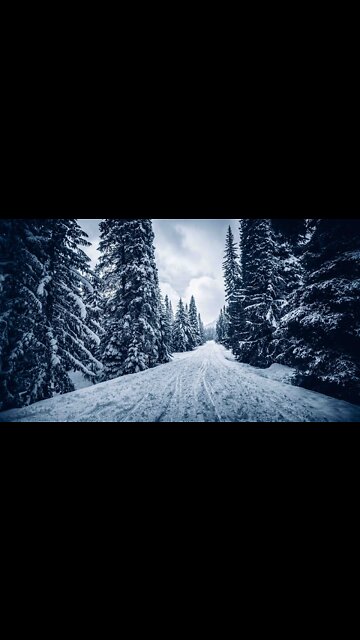 Hiking in a Winter Wonderland