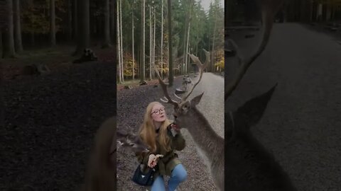 Woman Gets Hit With ACCOUNTABILITY