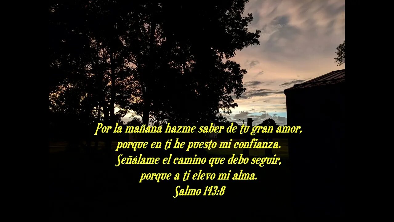 Versículo bíblico diario para hoy