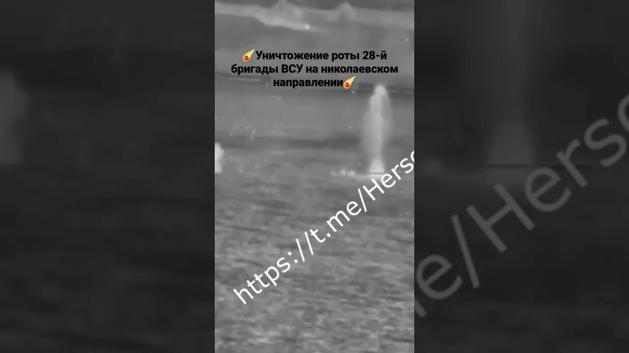 ☄Уничтожение роты 28-й бригады ВСУ на николаевском направлении#спецоперация #донбасс #warzone #war