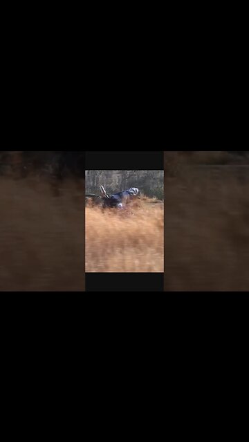 #motorcycle #stuntlife #wheelies #motorcycles #bikelife #moto #StuntHistory