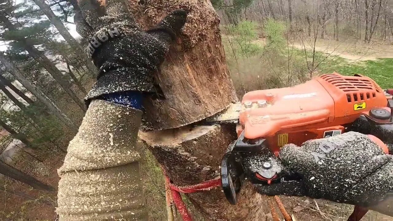 Chunking a Dead Eastern White Pine (short version)