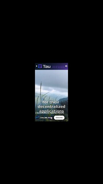 D3 Tauchain: A Paradigm for Collaborative Software Development and Decentralized Applications