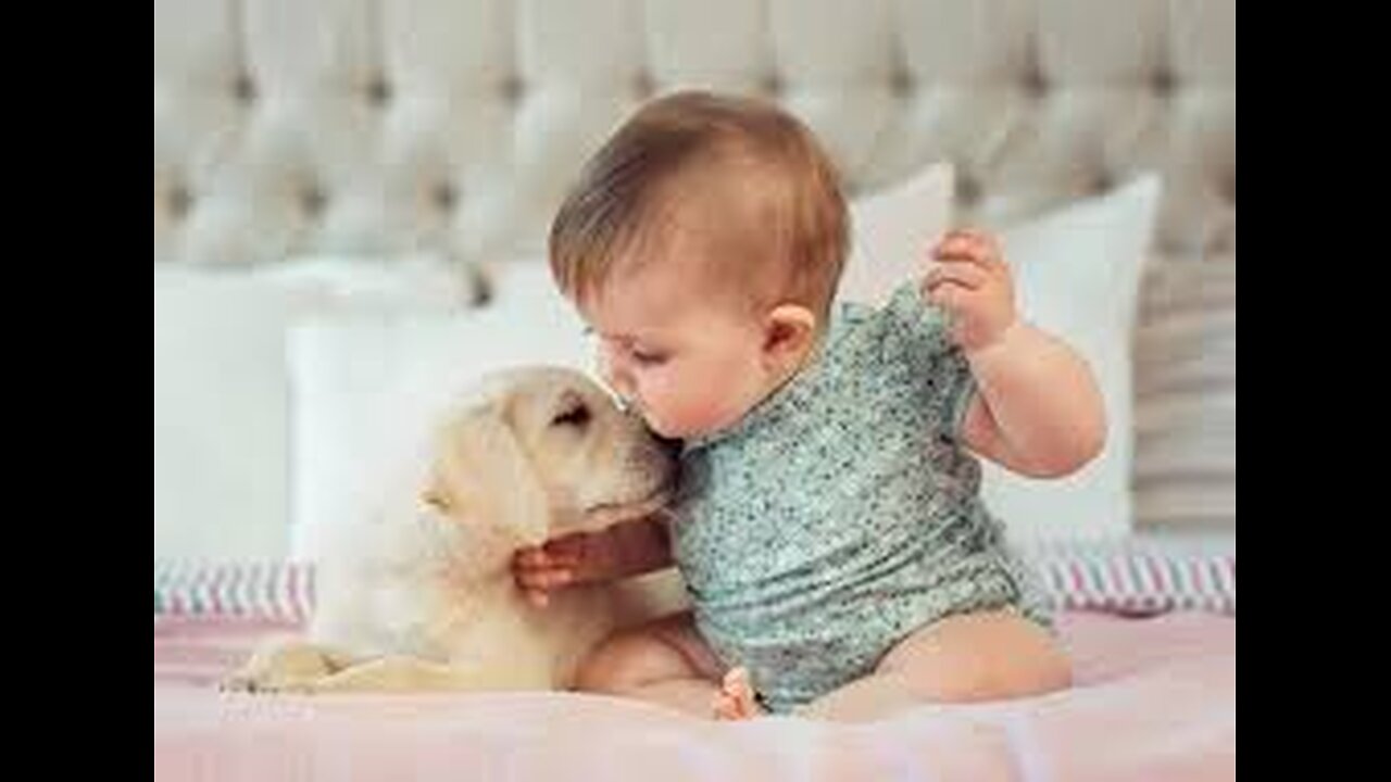 Best video of Cute Babies and Pets - Funny Baby and Pet